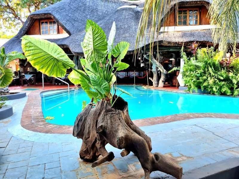 מוסינה Dei Gratia Guest House מראה חיצוני תמונה