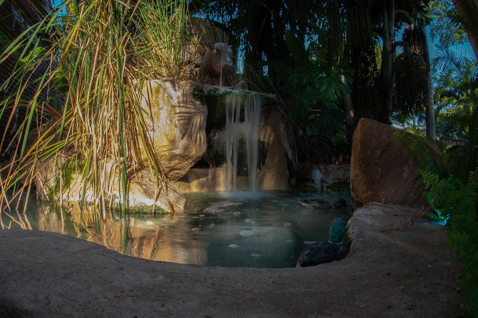 מוסינה Dei Gratia Guest House מראה חיצוני תמונה