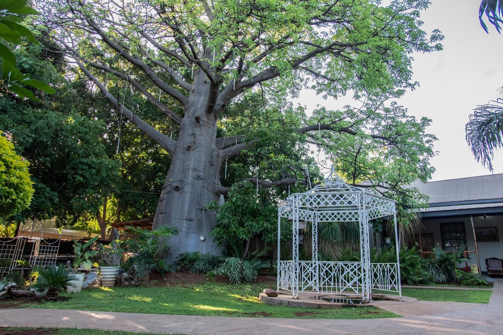 מוסינה Dei Gratia Guest House מראה חיצוני תמונה